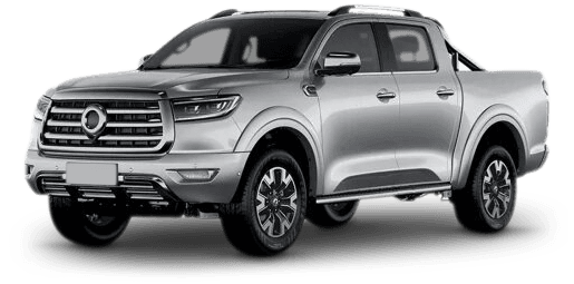 Vehicle image for GWM Cannon 2019 - 2025