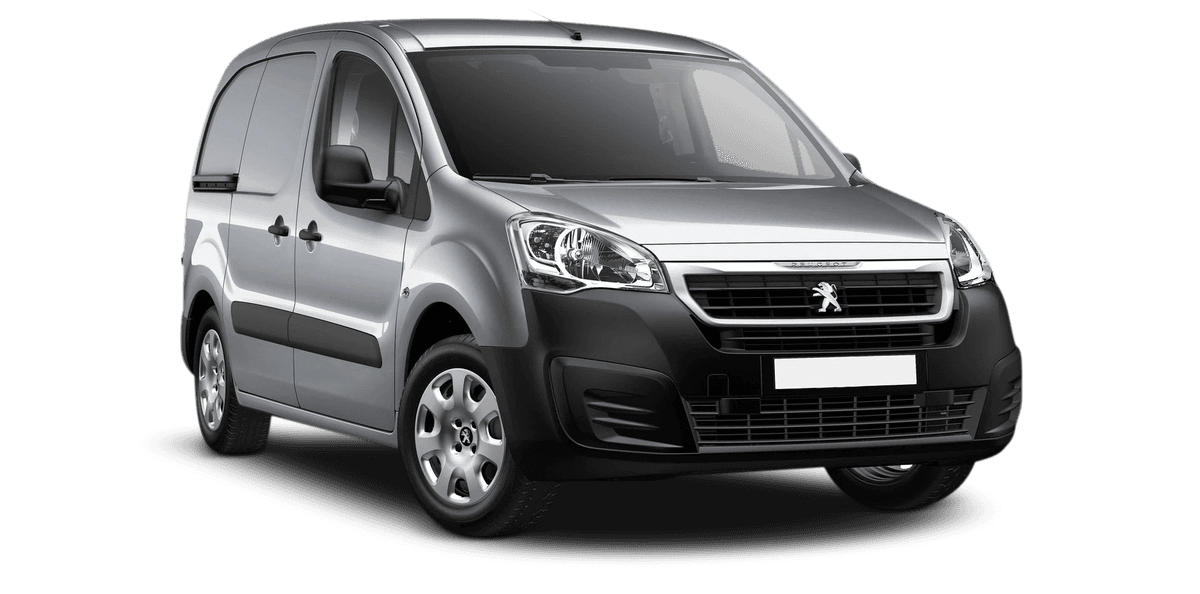 Vehicle image for Peugeot Partner 2008 - 2014 (B9) Rear Tailgate