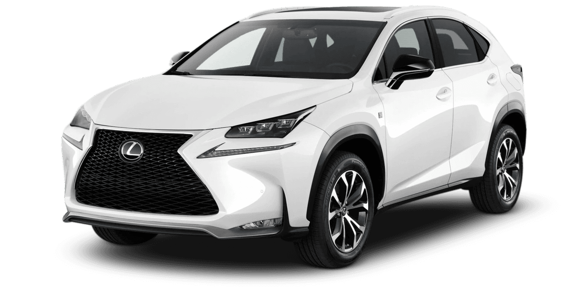 NX 300h